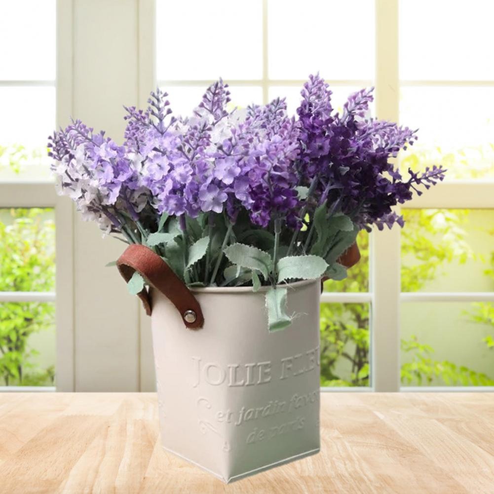 Barrels Garden Decoration Tin  – Pilea Peperomioides Bewertung und Preis