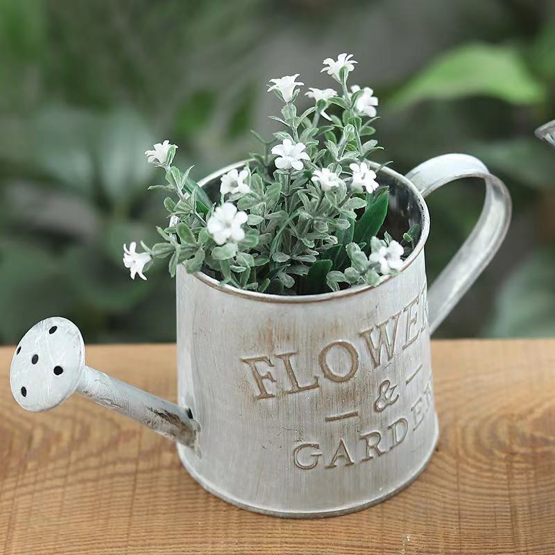 Barrels Garden Decoration Tin  – Pilea Peperomioides Bewertung und Preis