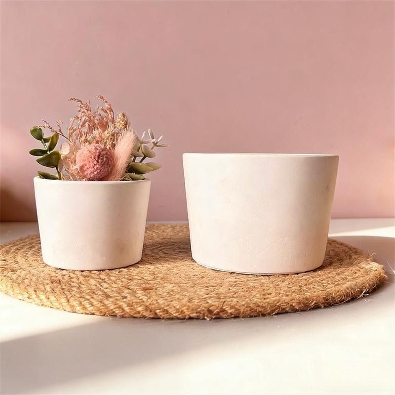 Round Plaster Vase Flowerpot C – Echeveria Succulent Bewertung und Preis
