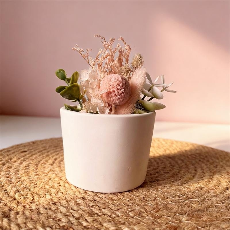 Round Plaster Vase Flowerpot C – Echeveria Succulent Bewertung und Preis
