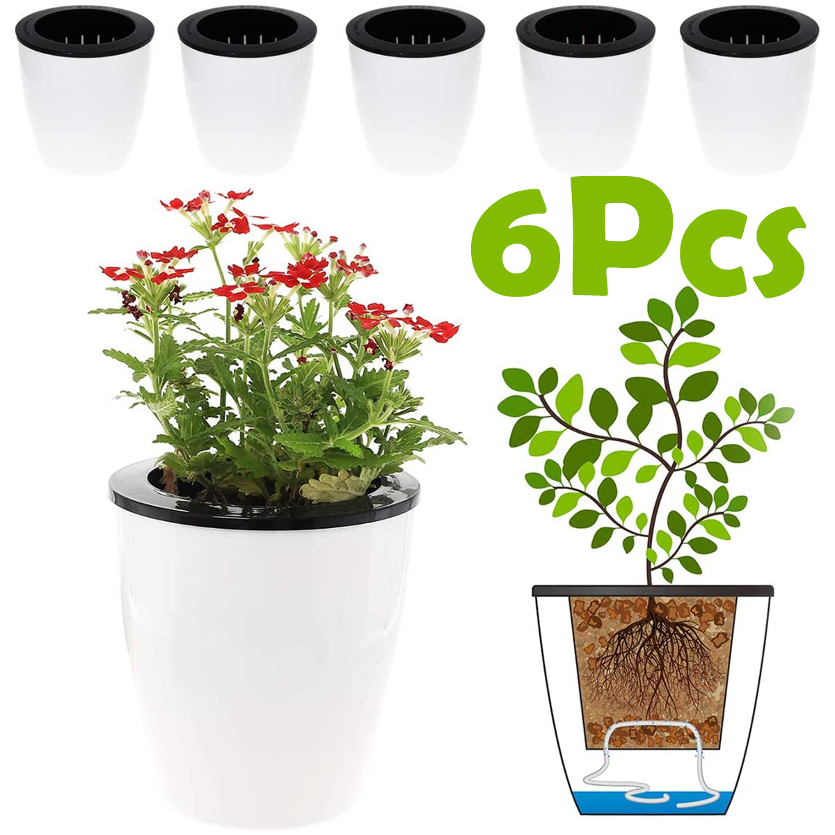 6/12Pcs Self-Watering Flower P – Aloe Vera Pot Bewertung und Preis