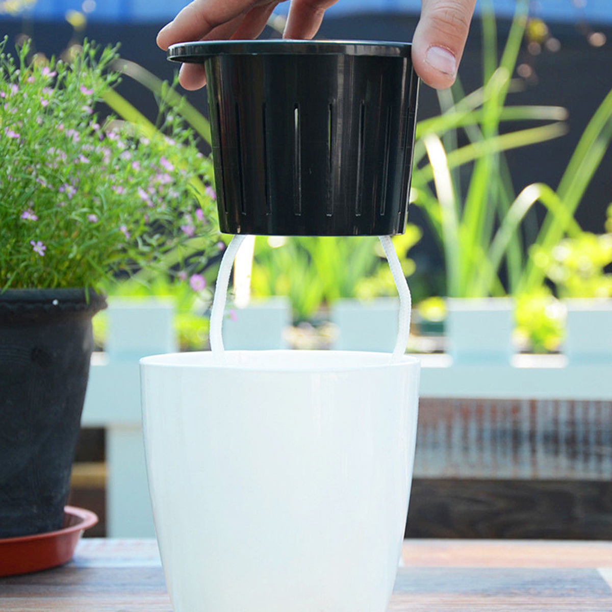 6/12Pcs Self-Watering Flower P – Aloe Vera Pot Bewertung und Preis
