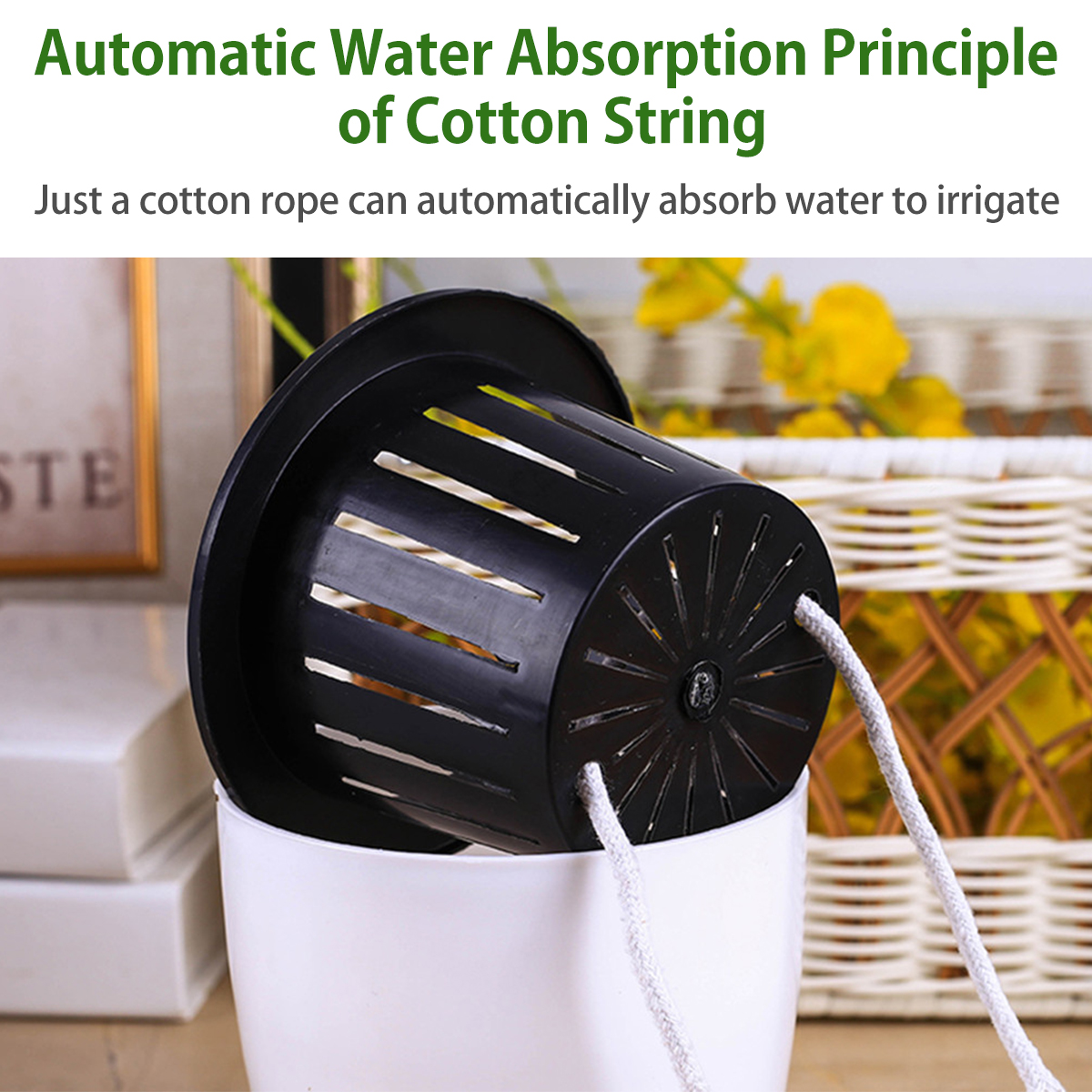 6/12Pcs Self-Watering Flower P – Aloe Vera Pot Bewertung und Preis