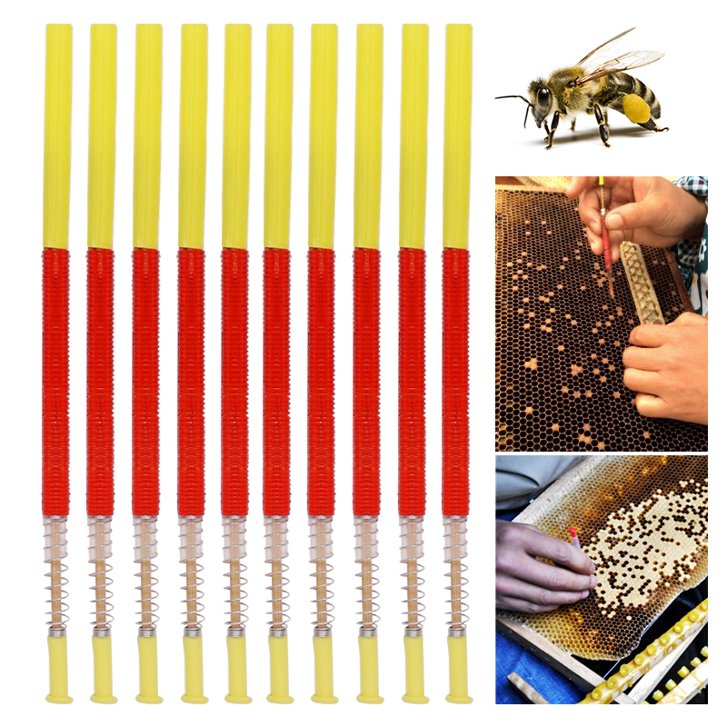 5/10Pcs Beekeeping Grafting To – Begonia Rex Bewertung und Preis