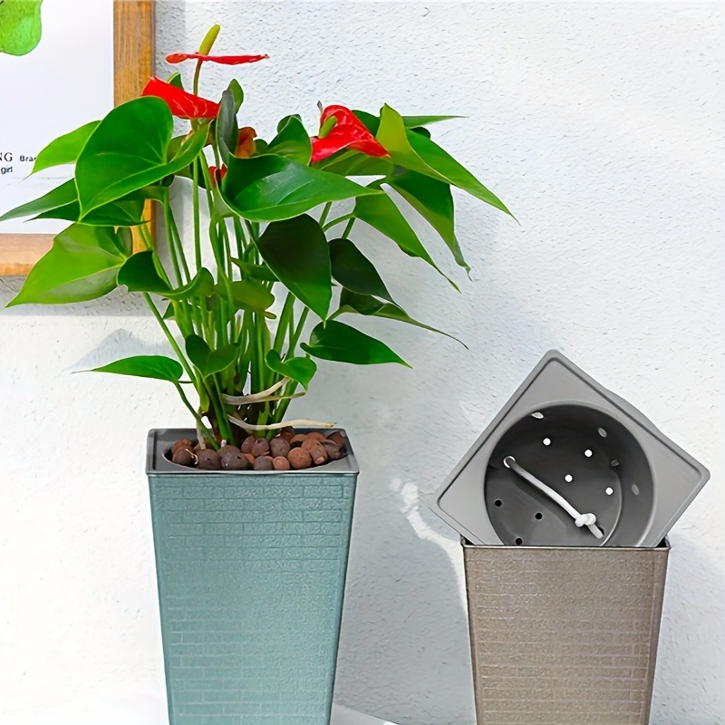 Plastic Brick Pattern Flowerpo – Pilea Peperomioides Bewertung und Preis