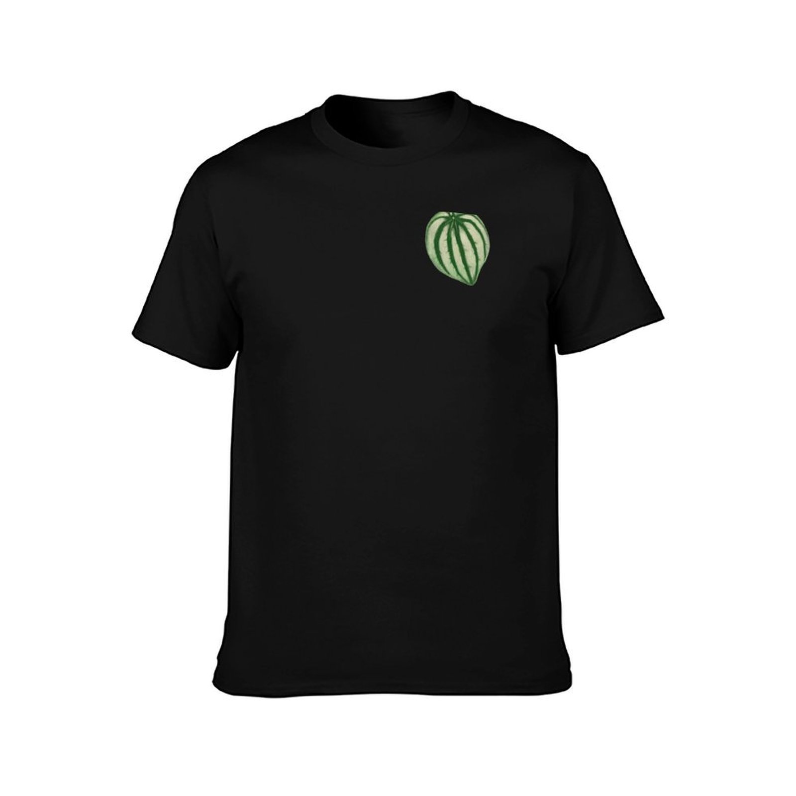 Watermelon Peperomia T-Shirt C – Peperomia Watermelon Bewertung und Preis