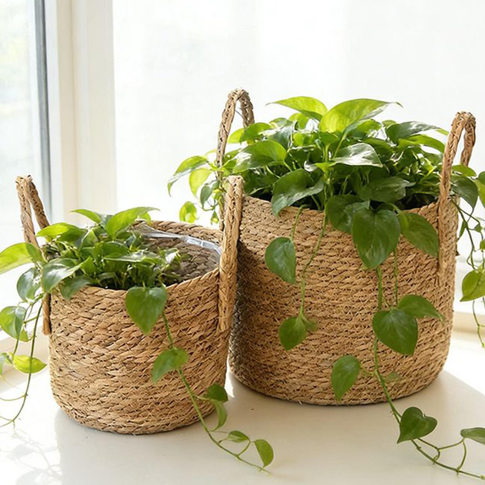 Planter Basket Straw Flowerpot – Pilea Peperomioides Bewertung und Preis