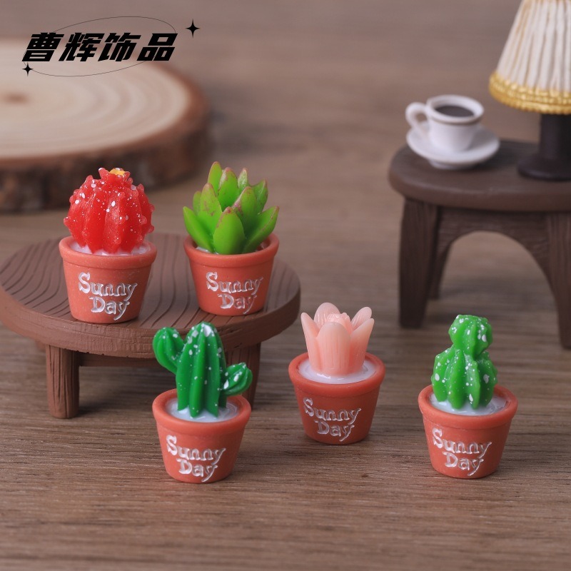 5pcs Simulation succulent pott – Echeveria Succulent Bewertung und Preis