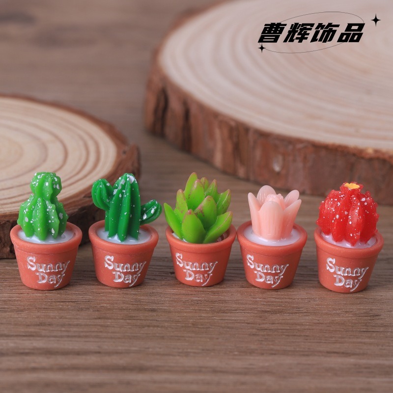 5pcs Simulation succulent pott – Echeveria Succulent Bewertung und Preis