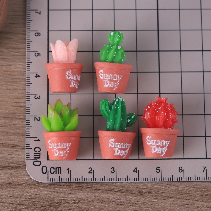 5pcs Simulation succulent pott – Echeveria Succulent Bewertung und Preis