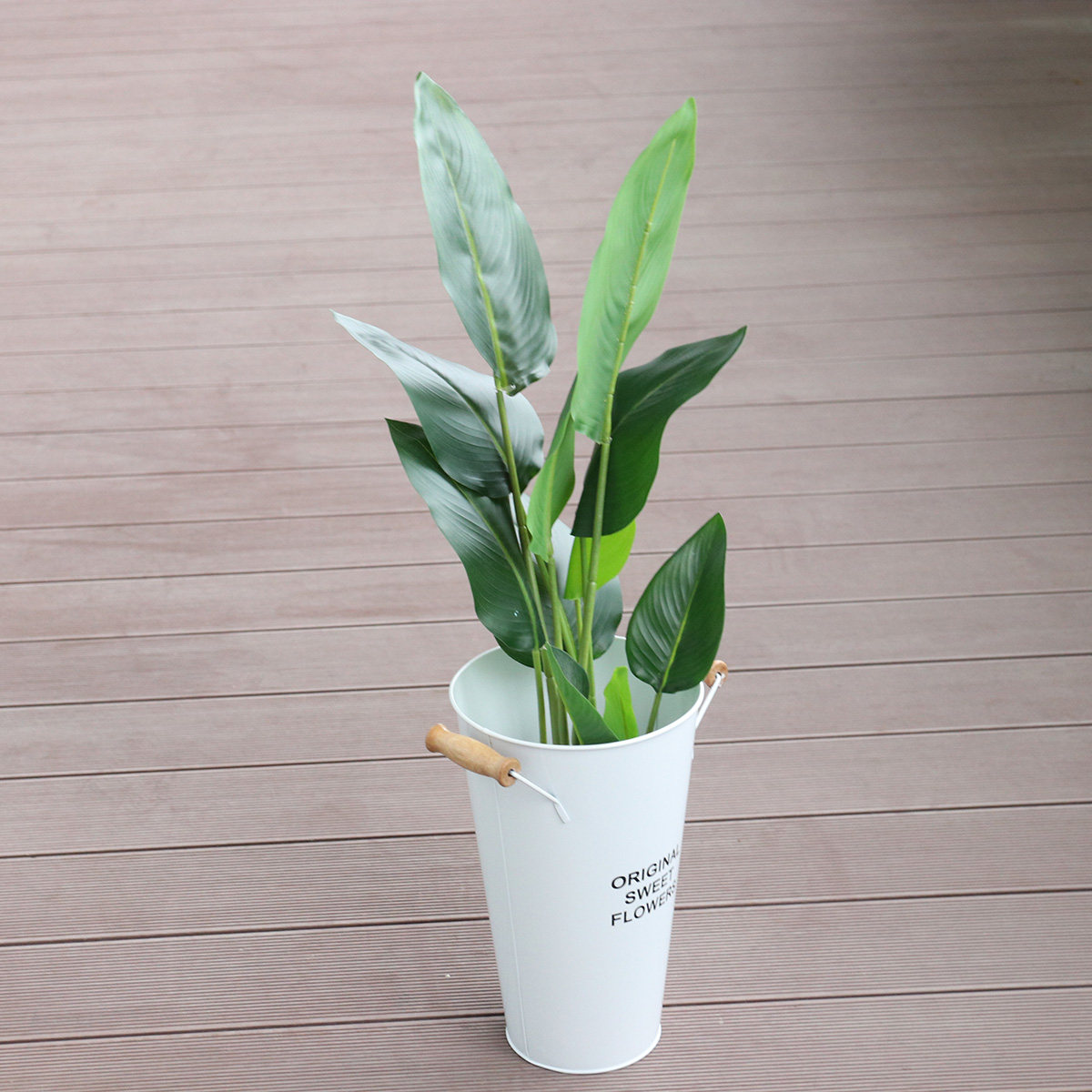 Wrought Iron Flower Vase Deskt – Aloe Vera Pot Bewertung und Preis