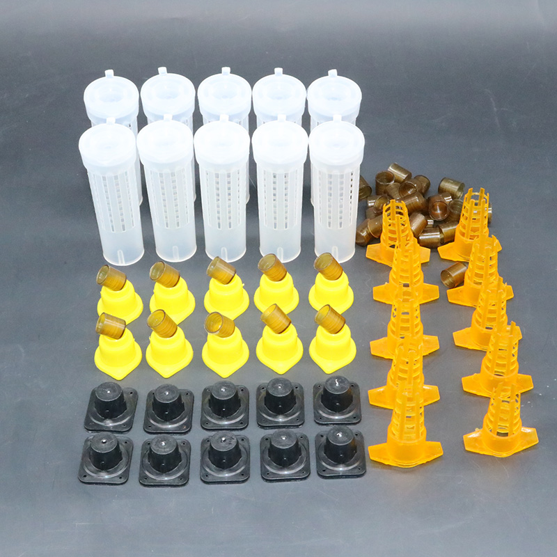 Complete bee queen king rearin – Begonia Rex Bewertung und Preis